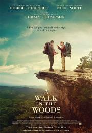 The walk in the woods (2015)