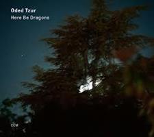 TZUR ODED: HERE BE DRAGONS LP (FG)