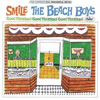 BEACH BOYS: SMILE 2CD BOX SET (V)