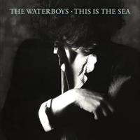WATERBOYS: THIS IS THE SEA-COLLECTOR'S EDITION 2CD