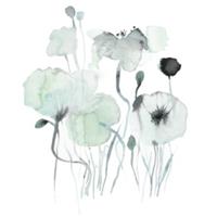 Kort Poppies Dusty Green