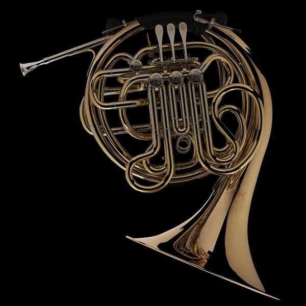 Wessex Bb/F Double French Horn FH601 P