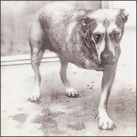 ALICE IN CHAINS: ALICE IN CHAINS