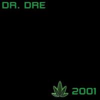 DR. DRE: CHRONIC 2001 LP