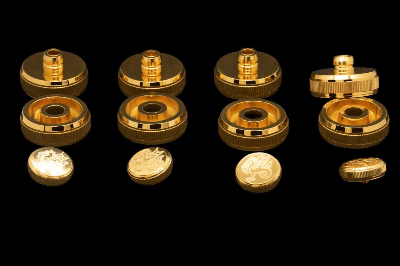 Set of Gold Valve Caps & Buttons for EP100-S Dolce