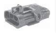 PACKARD W-P PINNARUNKO 3-NAP