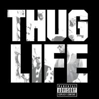 2PAC/THUG LIFE: THUG LIFE VOL.1 LP