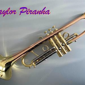 Taylor Piranha Lakkert BrassNor