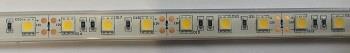 LED-NAUHA IP68 KIRKAS 24V 14,4W/m  5m
