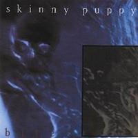 SKINNY PUPPY: REMISSION LP