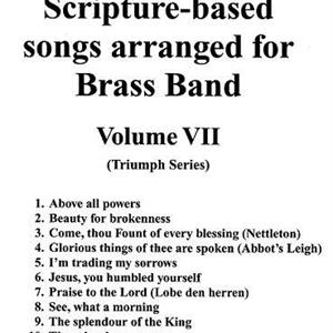 TWELVE SCRIPTURE-BASED SONGS - VOL VII
