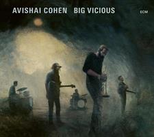 COHEN AVISHAI: BIG VICIOUS LP (FG)