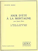 JOUR D´ETÉ À LA MONTAGNE