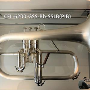 Bb flugel CFL-6200-GSS-Bb-SSLB(PIB)