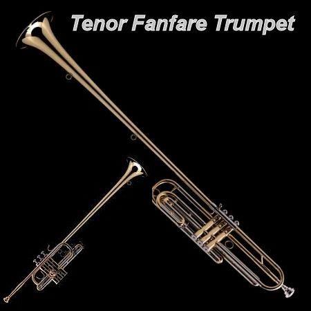 Wessex Tenor Fanfare Trumpet, Lakkert