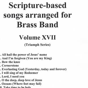 TWELVE SCRIPTURE-BASED SONGS - VOL XVII
