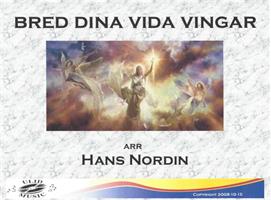 BRED DINA VIDA VINGAR