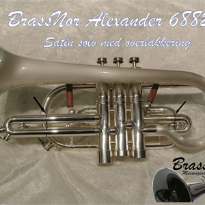BrassNor Alexander 6882T-S-SLB-PIB-L