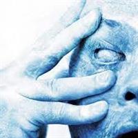 PORCUPINE TREE: IN ABSENTIA 2LP