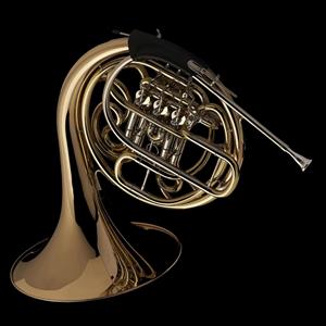 Wessex Bb/F Double French Horn FH601 P