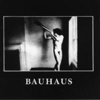 BAUHAUS: IN THE FLAT FIELD