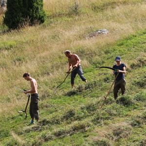 27 Juni - Högsåsen- Hova - Närke