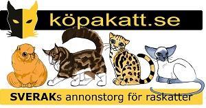 raskatter.nu har blivit köpakatt.se 