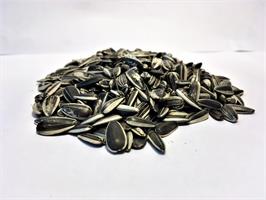 Solrosfrö strimmiga 15 kg