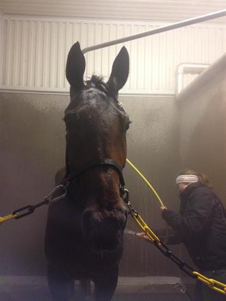 Springeling får en välförtjänt dusch i Kalmar.