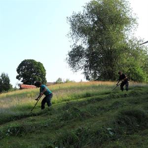 25 Juli - Gärdvallen - Torsby - Värmland