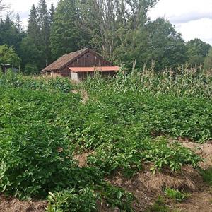 27 Juli - Allingsås - Västergötland