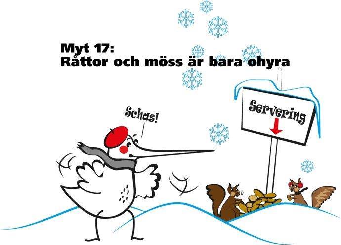 Myt 17: Råttor och möss är bara ohyra