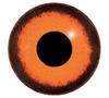 Ögon M31 13mm