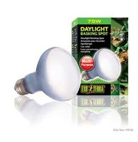 Daylight Basping Spot, 75 watt