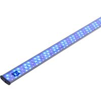Akvastabil Belysning Lumax LED Blue 73cm 23w