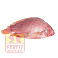 Red Tilapia Fish Frozen 800/1000g 