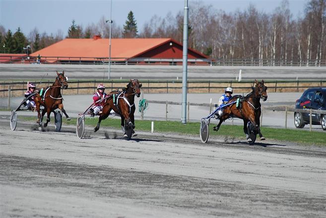 Dolly Spink vinner i Tingsryd