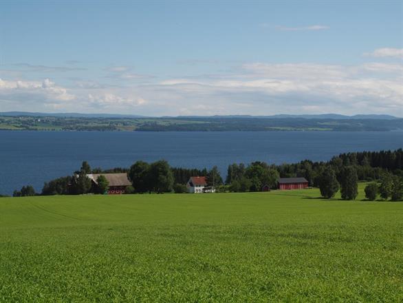 Vien Nedre på Helgøya, utsikt mot Stange