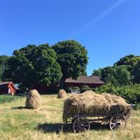 29 Juli - Kållandsö - Västergötland