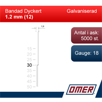 Dyckert 12/30 Galv 5M