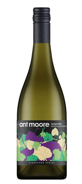 Ant Moore Sauvignon Blanc -20