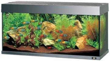 Juwel Akvarium Rio 180 Liter Svart