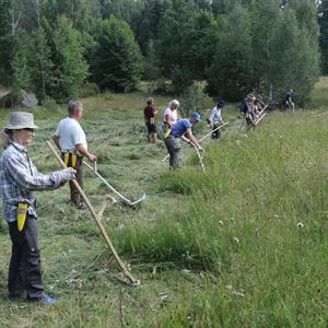 25 Juni - Sigtuna - Uppland