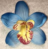 Hårblomma Orkidé  Blå