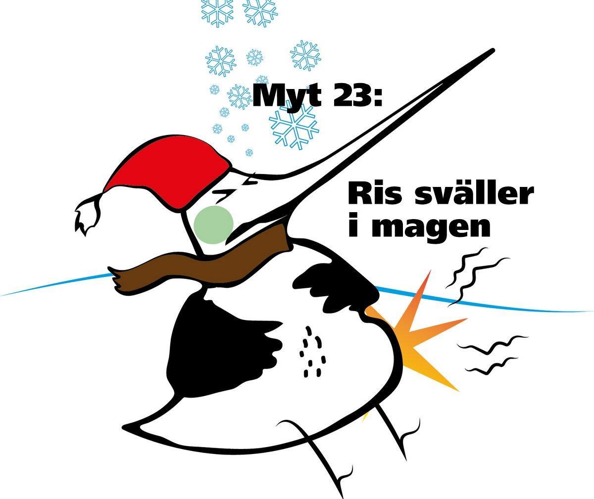 Myt 23: Fåglarna dör om de äter ris eller havregryn!