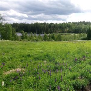 18 juni - Arvika - Värmland