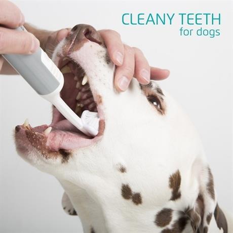 Cleany Teeth - Ultraljudstandborstning erbjuds som tjänst från Januari 2022