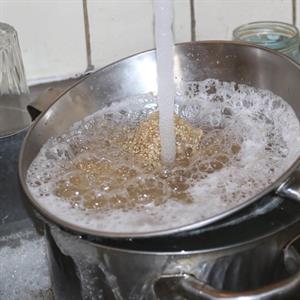 20kg - Quinoa - Swedish