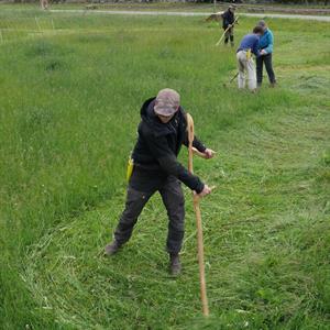02 Juni - Krogstorp - Båstad - Skåne