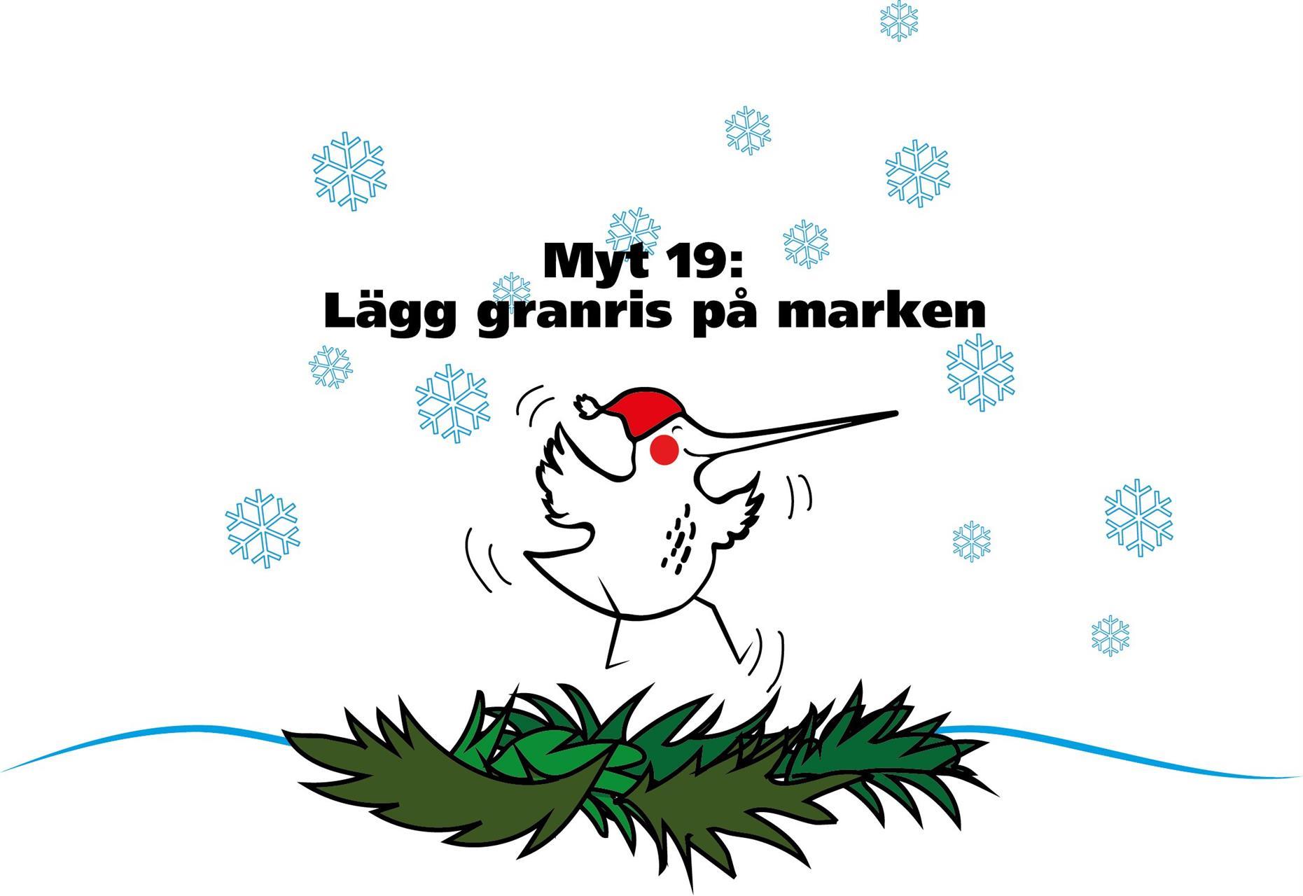 Myt 19: Lägg granris på marken!